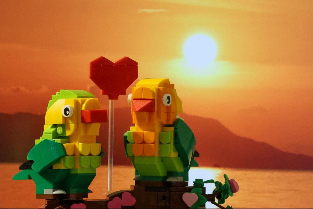 two LEGO brids at sunset 2 LEGO brids at a sun set